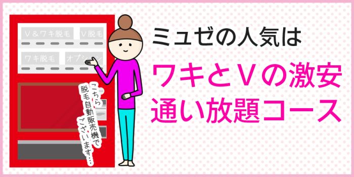 ワキとVの激安通い放題コース