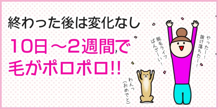 10日〜2週間で毛がポロポロ！！